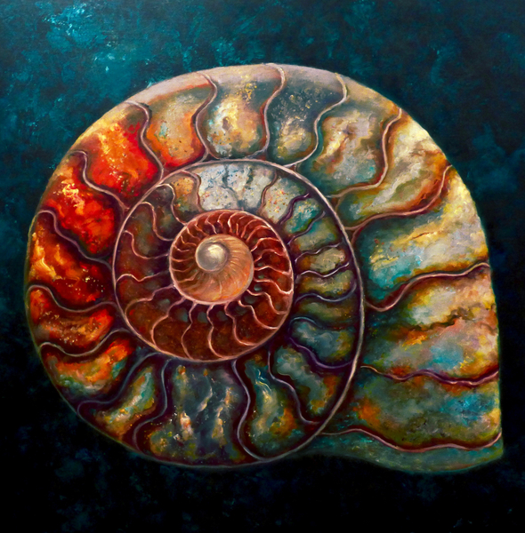 Ammonite II from Lee Campbell