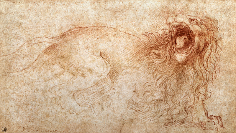 Sketch of a roaring lion from Leonardo da Vinci