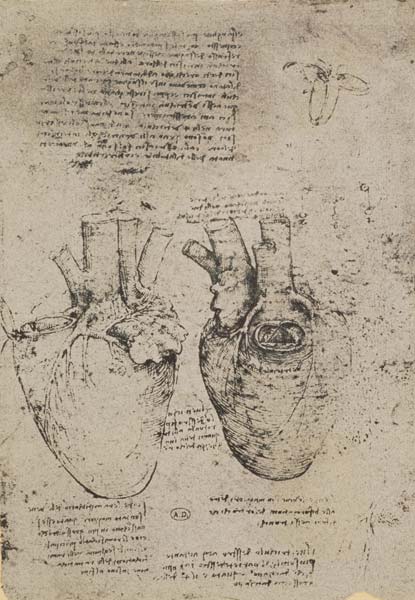 The Heart, facsimile of the Windsor book from Leonardo da Vinci