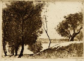 Baumbestandenes Ufer am märkischen See