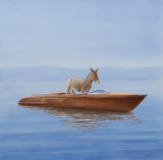 Donkey in a Riva from Lincoln  Seligman
