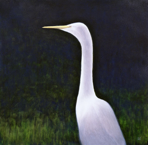 White Egret (oil on canvas)  from Lincoln  Seligman