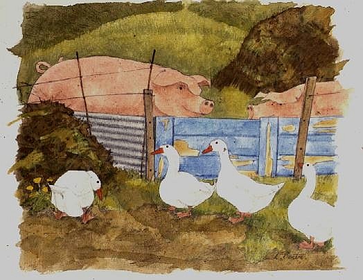 Pigs, Midden and Geese from Linda  Benton