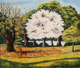 Cherry Blossom and Deer, 1995 (acrylic on paper) 