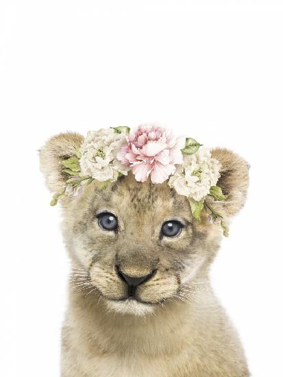 Floral Baby Lion
