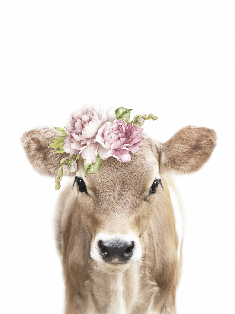 Floral Baby Calf from Lola Peacock