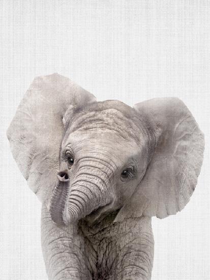 Peekaboo Baby Elephant