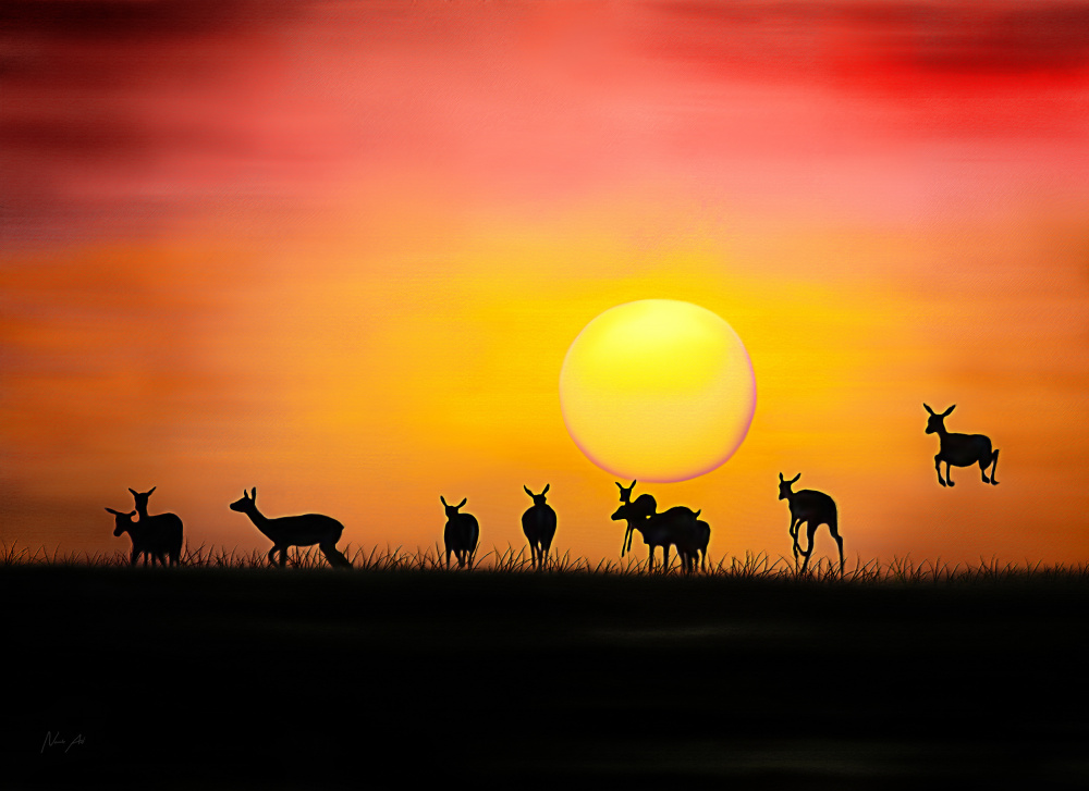 Impala Crepuscule from Lord Amihere