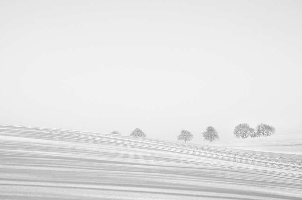 Snowlines from Lou Urlings