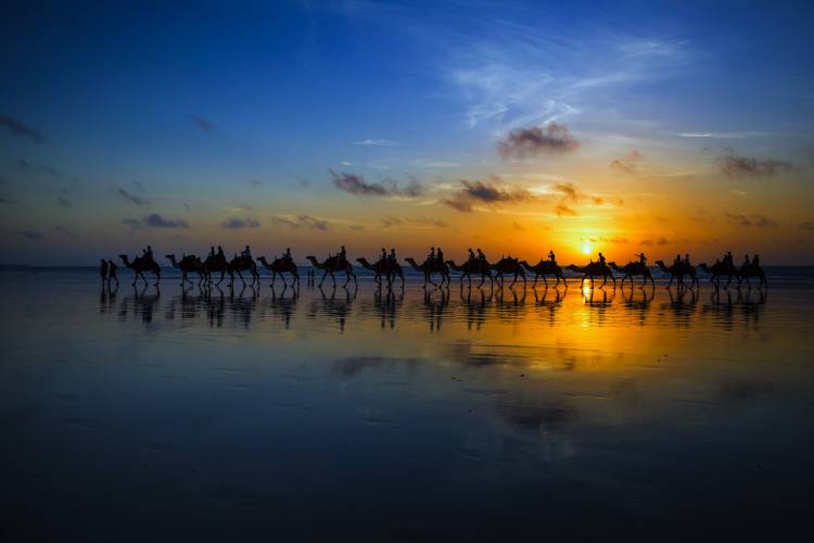 Sunset Camel Ride from Louise Wolbers
