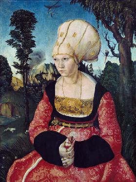 Portrait of the wife the DrCuspinian