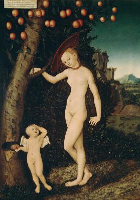 Venus and Amor as a honey thief
