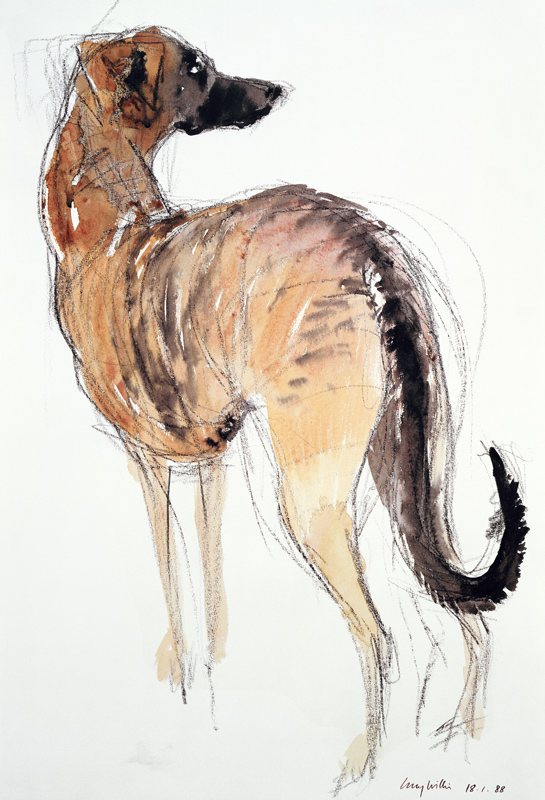 Lurcher Standing from Lucy Willis