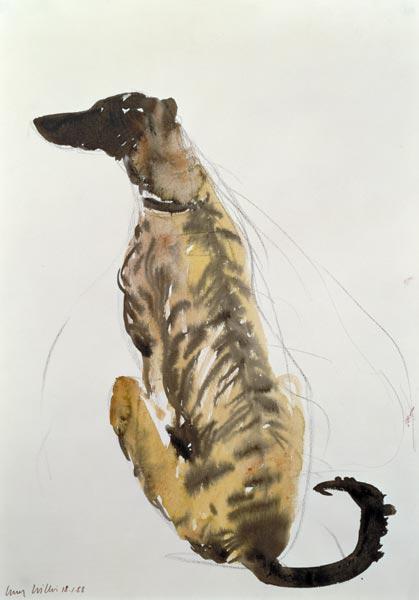 Lurcher Sitting, 1988 (charcoal and w/c on paper) 