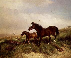 Mare with foals from Ludwig Fay