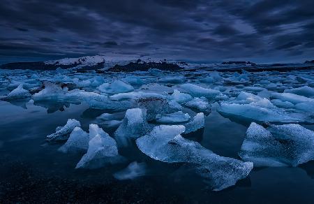 Icebergs at dawn