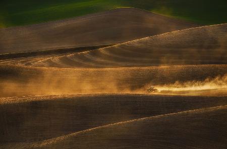 Golden Light over Wheat Field
