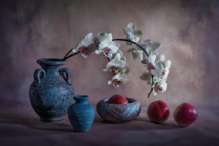 Orchid and Nectarine
