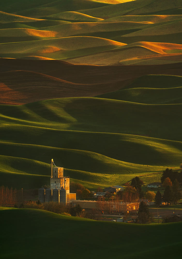 Palouse Rolling Hills from Lydia Jacobs