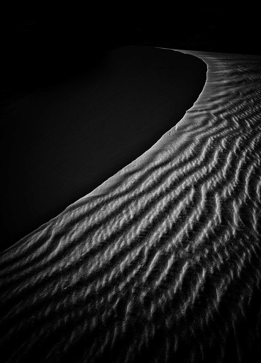 Sand Dune from Lydia Jacobs