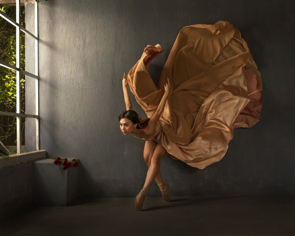 Ballerina from Magdalena Fifi