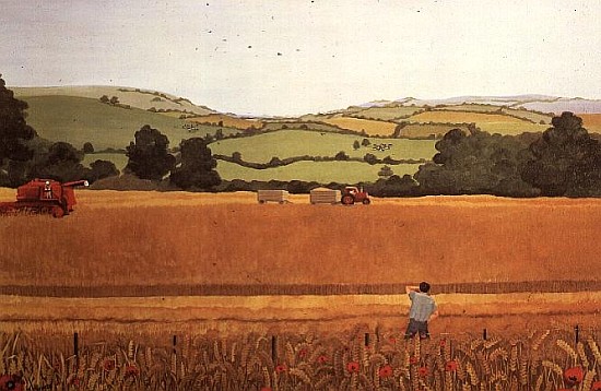 Harvesting in the Cotswolds  from  Maggie  Rowe