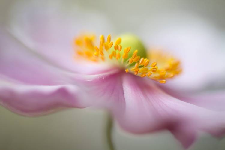 Untitled from Mandy Disher