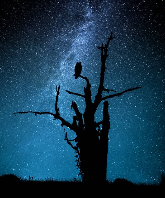 Alone in the dark from Manu Allicot
