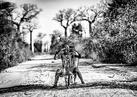 Having fun among baobabs