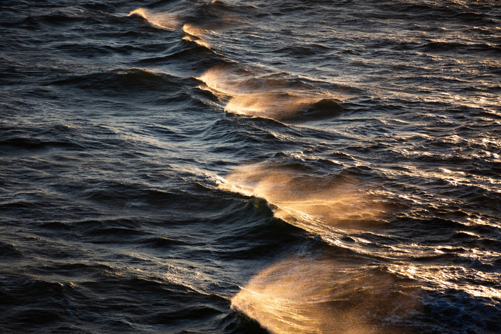 Sunkissed Waves from Mareike Böhmer