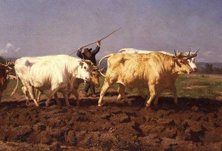 Ploughing in the Nivernais from Maria-Rosa Bonheur