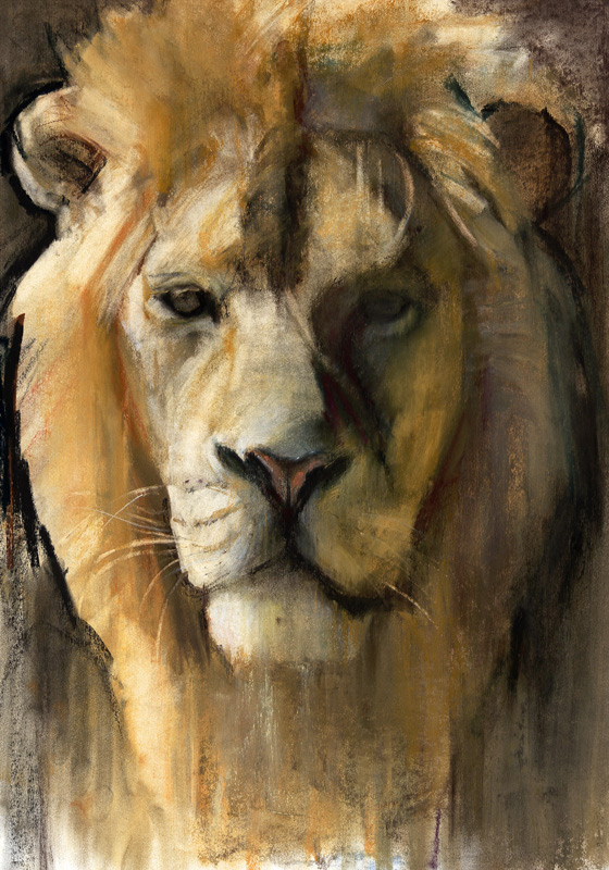 Asiatic Lion from Mark  Adlington