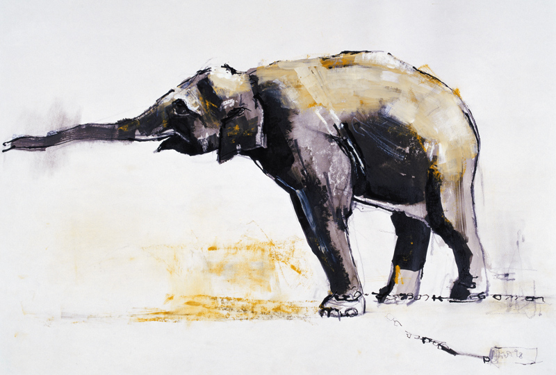 Indian Elephant, Khana from Mark  Adlington