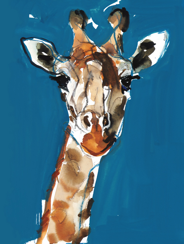Masai Giraffe from Mark  Adlington