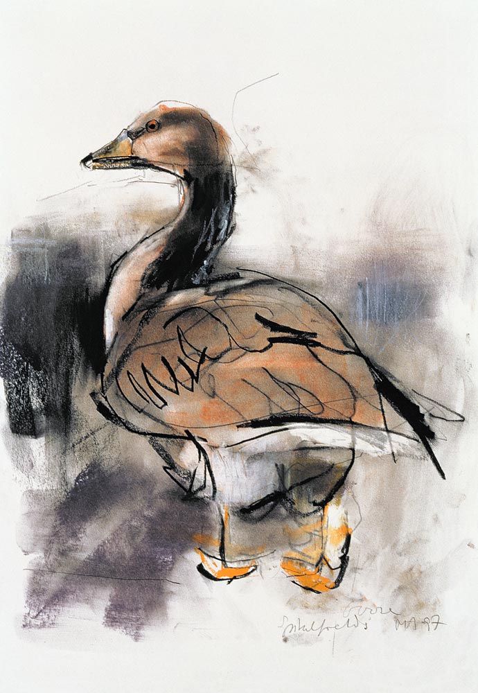 Spitalfields Goose from Mark  Adlington