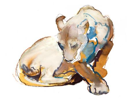 Feline Paint (lioness)