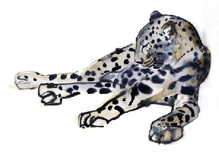 Recumbent (Arabian Leopard)
