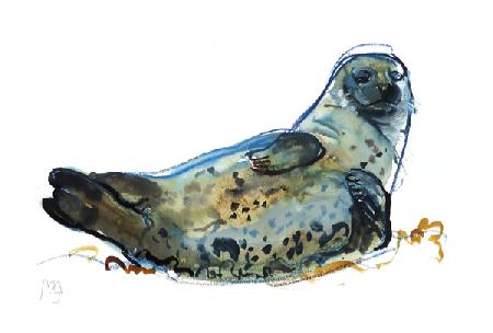 Westcove seal