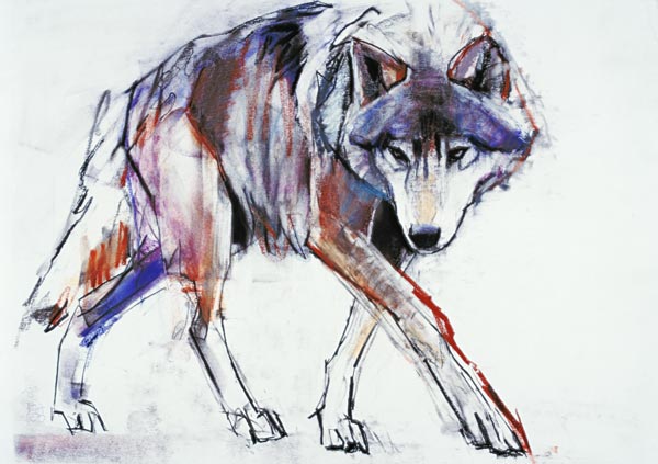 Wolf from Mark  Adlington