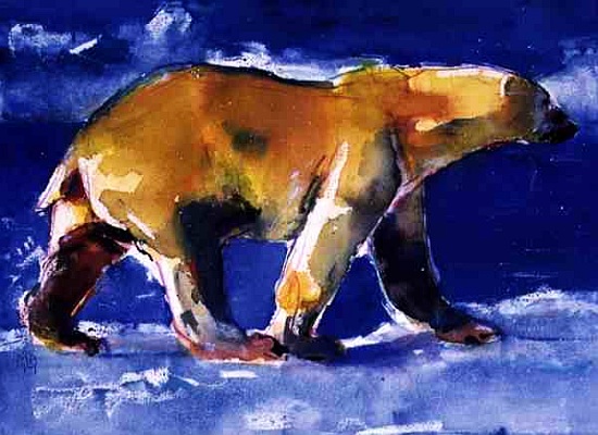 Yellow Bear from Mark  Adlington