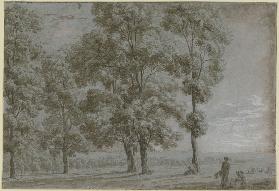 Gruppe von fünf hohen Bäumen mit Durchblick auf eine weite Landschaft, rechts vorne eine sitzende un