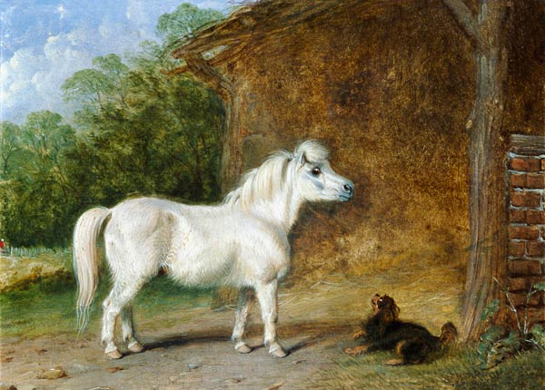 A Shetland pony and a King Charles spaniel (board) from Martin Theodore Ward