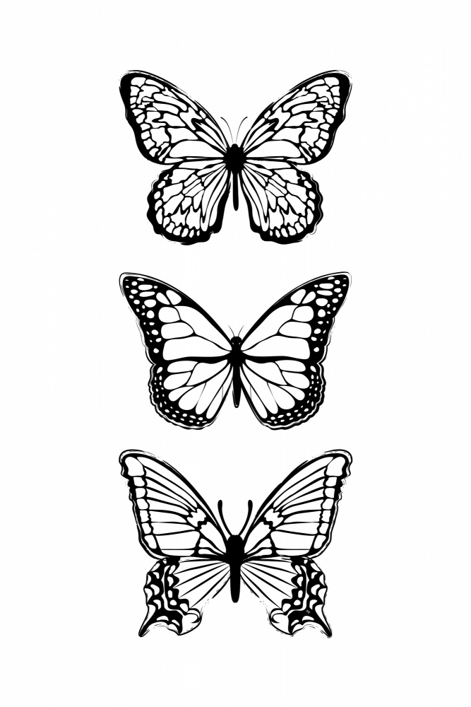 Black Butterflies from Martina