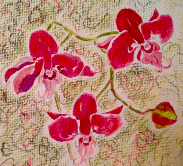 orchids from Mary Smith