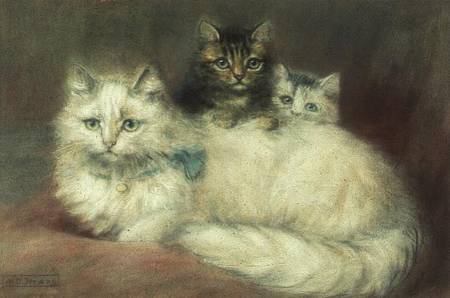 A Persian Cat and her kittens from Maud D. Heaps