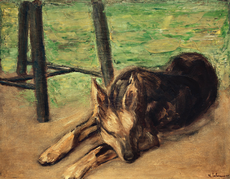 Schlafender Schäferhund from Max Liebermann