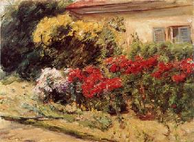 shrubs of flowers in front of the cottage of the gardener