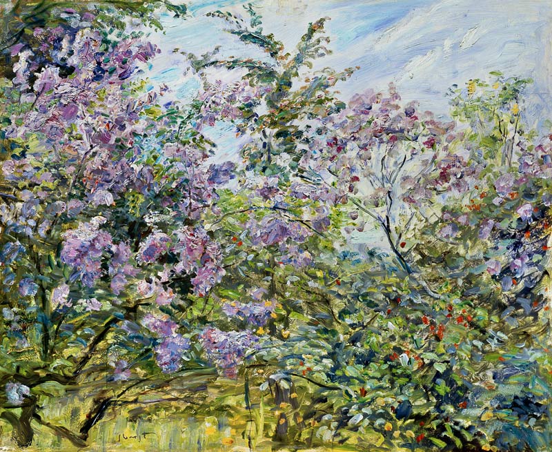 Blossoming lilac from Max Slevogt