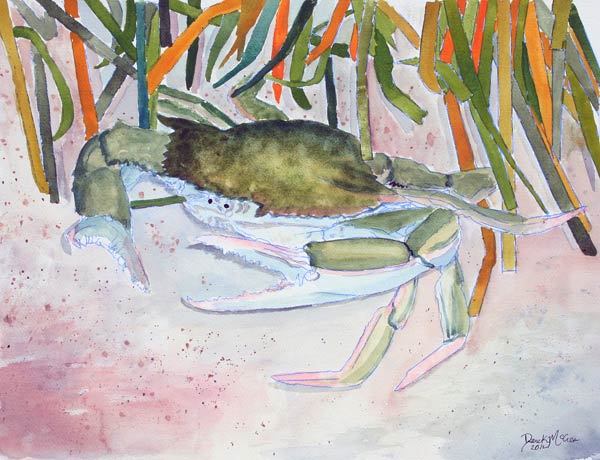 Crab 1 from Derek McCrea