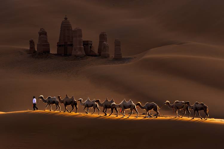 Castle and Camels from Mei Xu